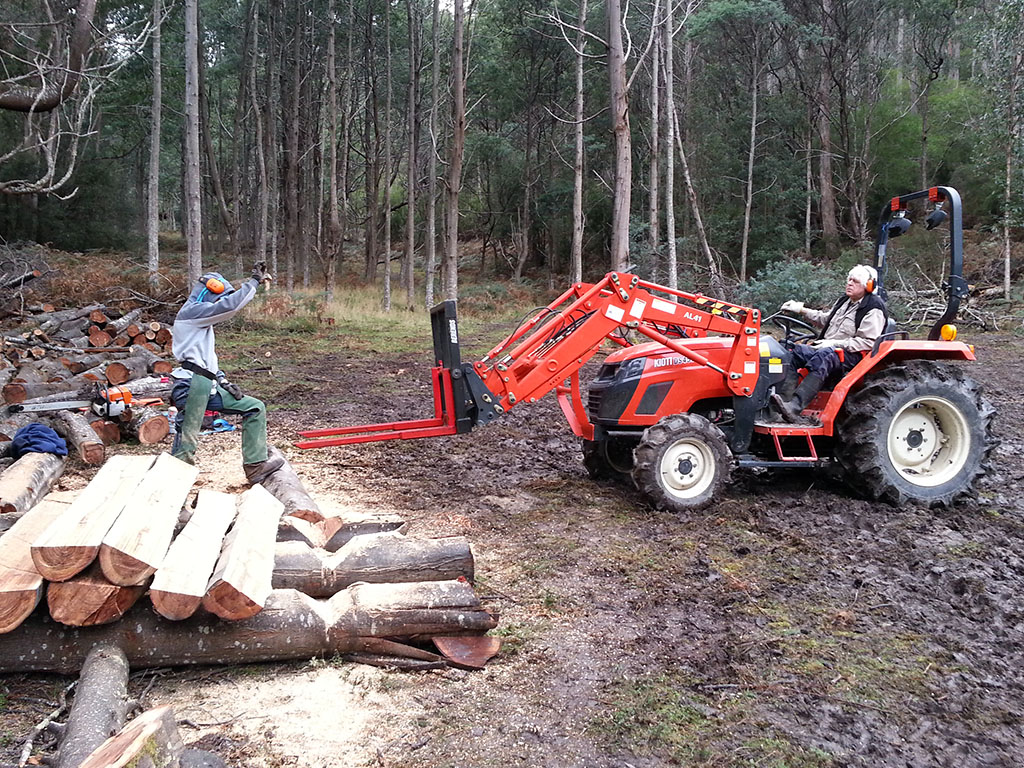 Foraging for Wattle 03